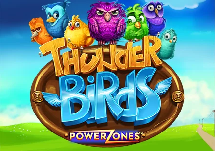 Power Zones Thunder Birds