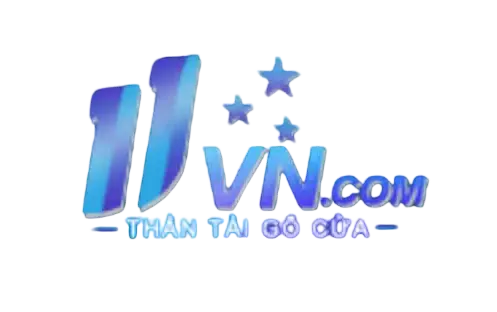 11Vn
